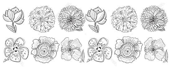 Line doodle flower seamless pattern