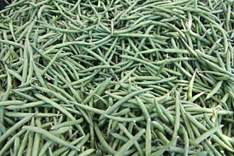 Bin of green beans