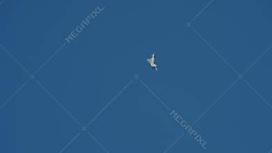 Fighter Jet Aerobatics Against Blue Sky