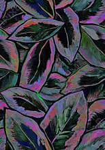Multi colors ficus foliage painted by hand of strokes seamless pattern.