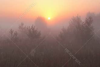 Foggy morning in Europe.Wonderful landscape of the Lithuanian countryside