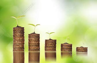 Golden coins in soil with young plants showing to financial investment crisis