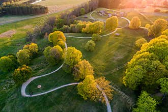Golden Hour Park with Winding Paths and Forest Edge