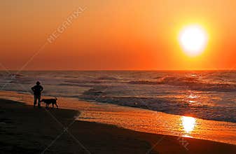 Walking the Dog