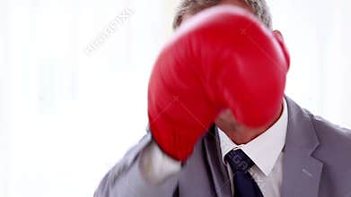 Businessman boxing with red gloves