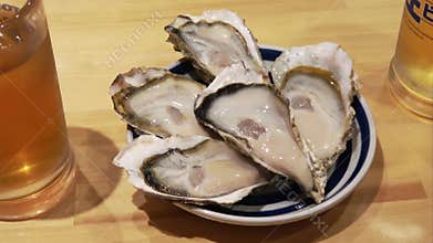 Five fresh, plump oysters are arranged on a plate.
