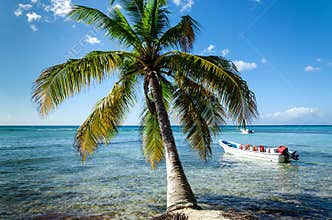 Caribbean beach with boat floating on the sea