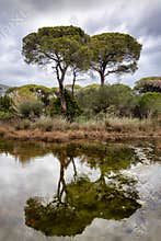 Lagoon Reflections at Kalogria col