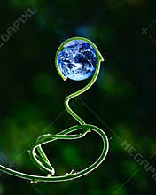Green stalk and Earth