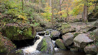 Vibrant mossy autumn woodland and cascading water at Wyming Brook in the Derbyshire, Peak District National Park