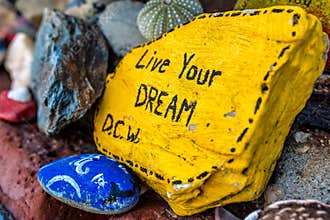 Live Your Dream