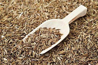 Caraway