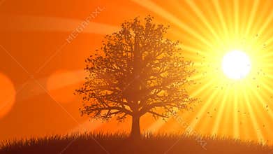 4 Seasons: Fall (Animated Background)