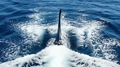 Majestic orca gliding through clear blue waters off San Juan Islands in bright sunlight Generative AI