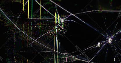 Signal interference matrix defect digital lines