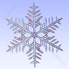 Microscopic snowflake