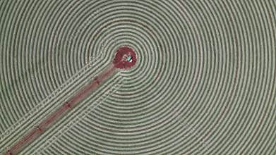 Turning clockwise over a circular field