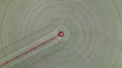 Turning clockwise over a circular field