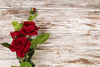 Rose flowers, red on wooden grunge background, floral card