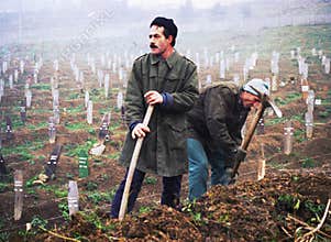 BOSNIAN CIVIL WAR
