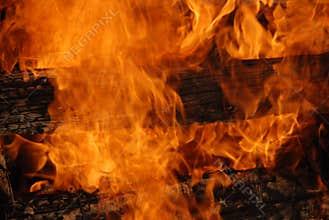 Logs in fire