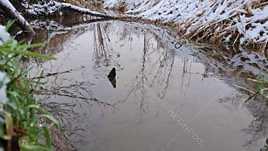 Winter Stream with Snowy Banks and Calm Water Reflection