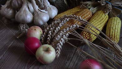 Harvested crops Thanksgiving