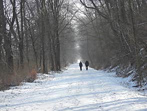 Winter trail walking during the snow and cold season