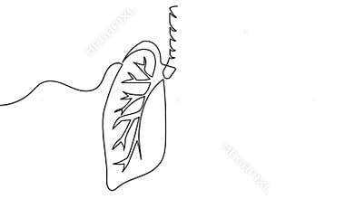 Continuous one line art human lungs animation video medical motion graphic