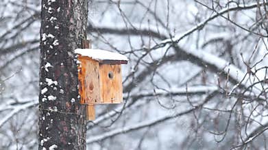 Details of actual snow falling at daytime in European city complicated life
