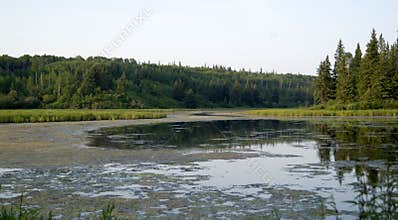Boreal Forest Watershed