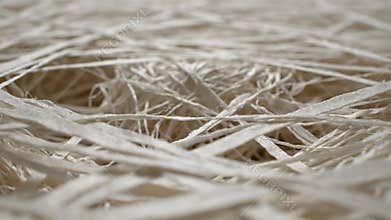Paper Fibers in Slow Motion