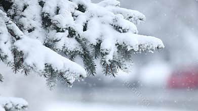 Details of actual snow falling at daytime in European city complicated life