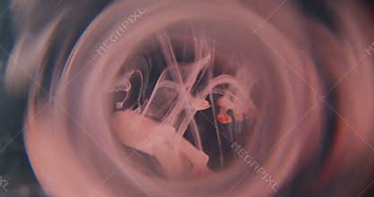 Haze flow blur pigment splash paint blot round