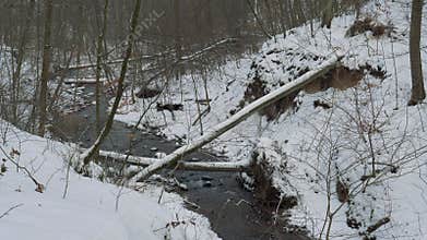 Mountain brook and trees knocked down by a wind storm in a wintery scenery
