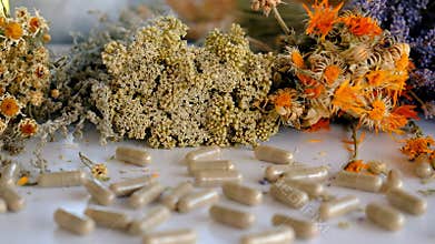 Dried medicinal herbs and flowers. Selective focus.