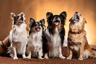 Let us sing together