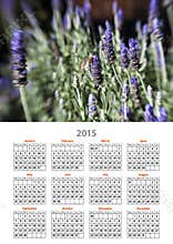 2015 Calendar
