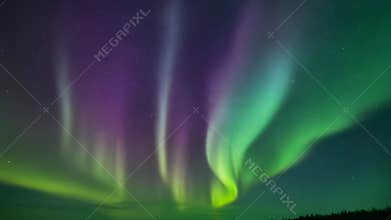 Vivid aurora borealis lights cascade across night sky