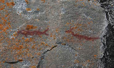 Agawa Rock Creatures
