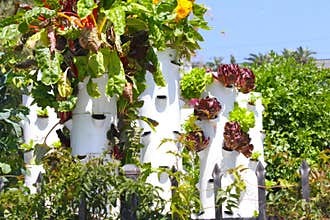 Garden Tower Sustainable Living