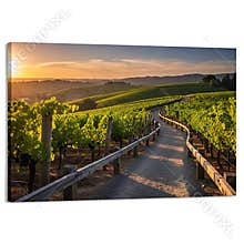 Scenic vineyard pathway winding through lush green rows bathed in warm golden sunset light
