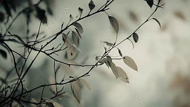Bare tree branches with fading leaves in nature