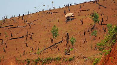 Deforestation in Laos,Cutting Rainforest,Naked Earth