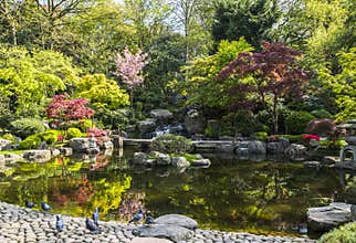 Kyoto Garden