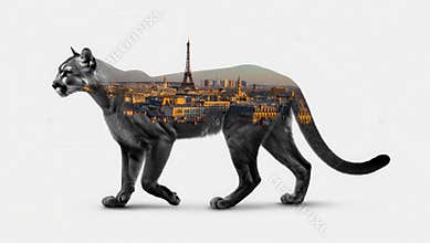 Wildlife and Paris Blended in Surreal Artistic Composition