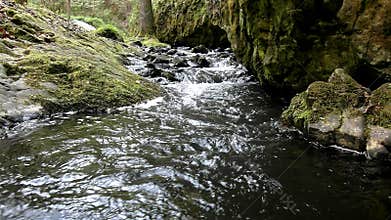 Cascade on small mountain stream, water is running