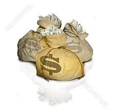 Money bags