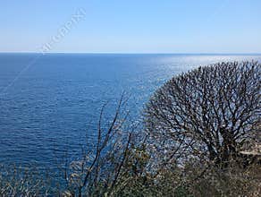 Sea view from the Doria tower on a sunny day