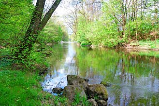 Small river and green banks in spring